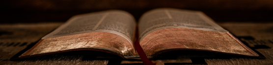Diez razones para leer la Biblia